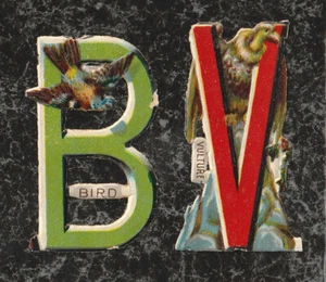 Lote 2 pequeños restos troquelados victorianos del alfabeto B para buitre pájaro 2,25 x 1,25 - Imagen 1 de 2