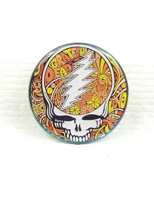 Grateful Dead Danny Steinman FIRE AND ICE Stealie Steal Your Face Pin xx/2275 LE - Picture 1 of 6