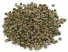 Organic Horseshoe Vitex Seed Whole Pure Indian Herb Negundi Seed Free Shipping