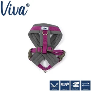 Ancol Viva Small Padded Dog Harness Puppy Reflective Nylon Stitch Purple - Picture 1 of 10