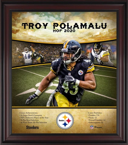 Troy Polamalu Pittsburgh Steelers Framed 15x17 Hall of Fame Career Profile Cover