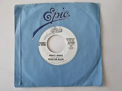 Dead Or Alive - What I want 7'' Vinyl US PROMO/ Pete Burns - Image 1 of 4