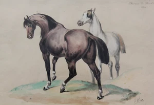 VICTOR ADAM Araber Pferde ORIGINAL Lithographie um 1860 handkoloriert SELTEN - Bild 1 von 9