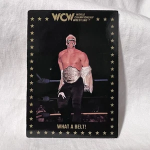 1991 Championship Marketing WCW #54 Sting - WWF NWA What A Belt! - Picture 1 of 2