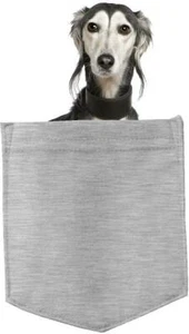 Saluki Dog in pocket Fridge Car Magnet Bumper Sticker App size 4"x7" - Picture 1 of 5