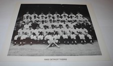 1968 Detroit Tigers Baseball Team Picture Photograph Photo World Series Champion
