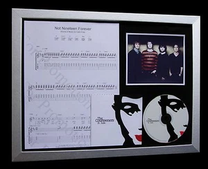 COURTEENERS Not Nineteen Forever LTD MUSIC CD QUALITY FRAMED DISPLAY+FAST SHIP - Imagen 1 de 6