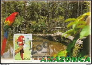 SKV) 1994. Caribbean. Zoo. New maximum card. XF. - Picture 1 of 1