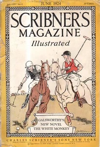 1924 Scribner's Cubierta Only - Polo - Picture 1 of 1