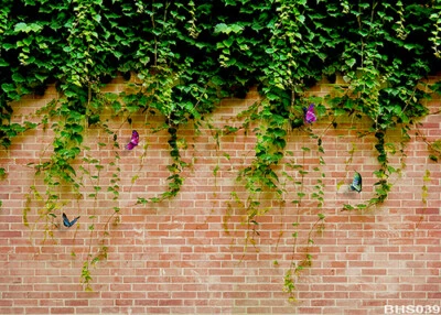 砖 5'x7' 电脑/数字风景乙烯基照片背景背景背景背景背景背景背景 BHS039 — 第 1/4 张图片