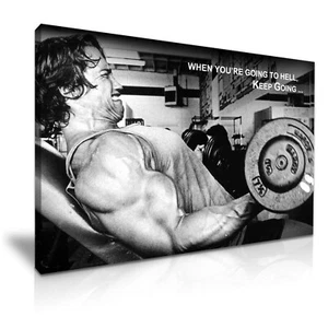 Arnold Schwarzenegger Ispirazione Corpo Tela Moderna Home Art ~ 5 Dimensioni - Foto 1 di 7