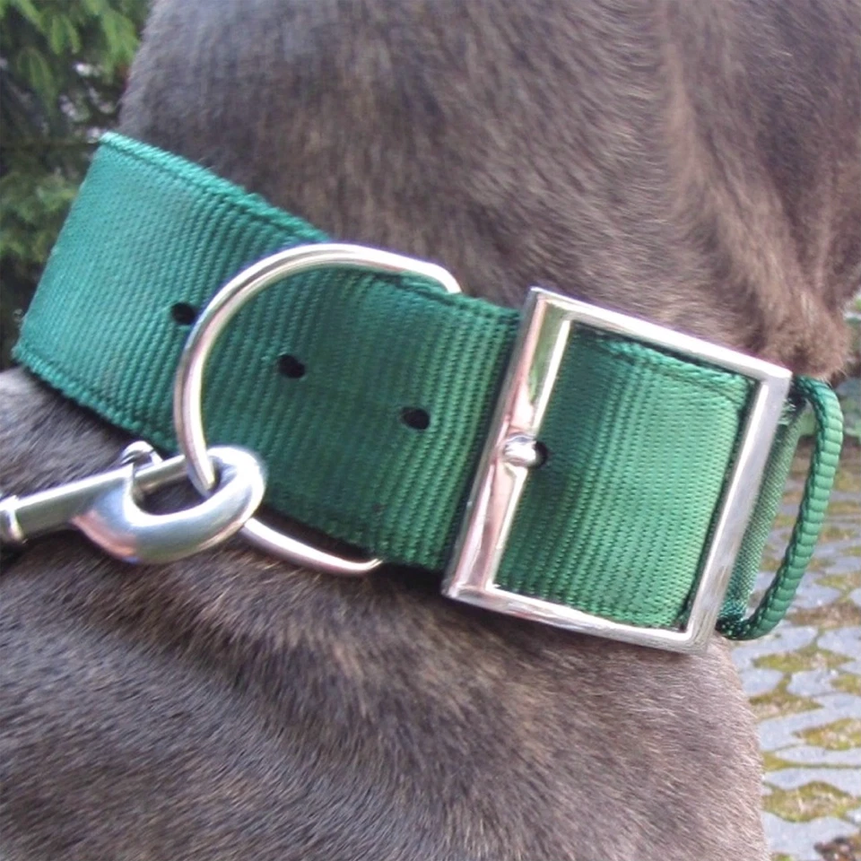 Collar de nailon verde Dogge Bulldog Molosser Pit Bull Rottweiler Doberman collar Foto 1 de 1