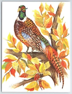 Tarjeta de Felicitación Artista John Cornacchio Anillo Cuello Faisán Pájaro Otoño En Blanco Interior - Imagen 1 de 4