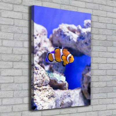 Leinwand-Bild Kunstdruck Hochformat 70x100 Bilder Nemo Fisch - Bild 1 von 4