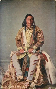 c1905 Black Plume blood Indian interior MacFarlane undivided Postcard 25-6434 - Imagen 1 de 2