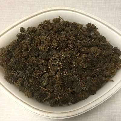 Erlenzapfen (~2cm) 1kg ~2000 St, Alnus glutinosa, Black Alder Cones, Schwarzerle - Bild 1 von 2