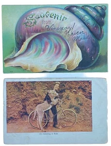 1908 zwei verschostete antike Postkarten mit 1cBriefmarke geprägt "Souvenir, reiten lernen" - Bild 1 von 5