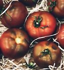 Black Prince Tomato Seeds | Non-gmo | 50 Seeds| Heirloom | Indeterminate |