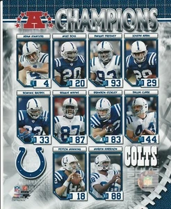 Indianápolis Colts 2007 8x10 equipo collage NFL con licencia archivo foto de archivo campeones de la AFC - Imagen 1 de 1