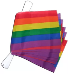 Fahnenkette Flaggenkette Girlande Regenbogen Fahnen Flaggen 15x22cm - Picture 1 of 1