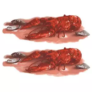 Calcomanías de cerámica con sobreesmalte de mariscos de langosta - Imagen 1 de 1