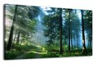 Green Forest Canvas Wall Art Living Room Wall Decor Large Nature Pictures Canvas