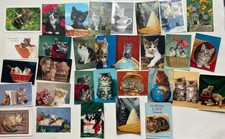 GATTI CATS LOTTO 36 CARTOLINE VINTAGE + 3 ALBUM