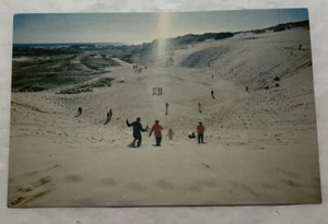 View From Top Of The Sandpit Cape Cod, Mass. Postcard (P2) - Picture 1 of 2