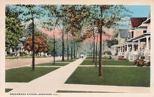 POSTAL DE COLECCIÓN KANKAKEE IL ILLINOIS HERMOSAS CASAS EN GREENWOOD AVE c1910 050924 - Imagen 1 de 2