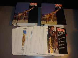 Wildlife Fact File Card Set Group 1-11 Not Complete 2 Binders Homeschool Animal - Picture 1 of 13