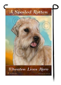 A Spoiled Rotten Wheaten Lives Here - Picture 1 of 1
