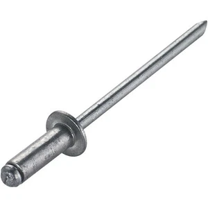 4mm x 12mm (5/32" x 1/2") Steel Head Pop Rivets - Pack of 100 - Imagen 1 de 1