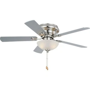 Expo 2-Light Ceiling Fan in Transitional Style 12.5 Inches Tall and 42 Inches - Picture 1 of 9