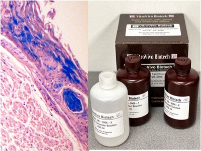 Kit de manchas azules rápidas VitroView™ Luxol (Cat# VB-3006) Foto 1 de 4