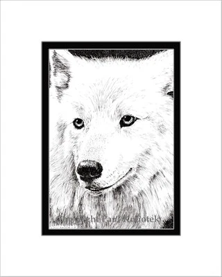 White Wolf Print, Note Card, Pen and Ink, Matted