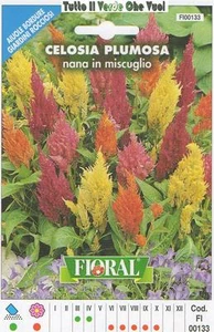 CELOSIA PLUMOSA IN MISCUGLIO - AIUOLE BORDURE ROCCIOSI-FLORAL - BUSTA SEMENTI - Picture 1 of 1