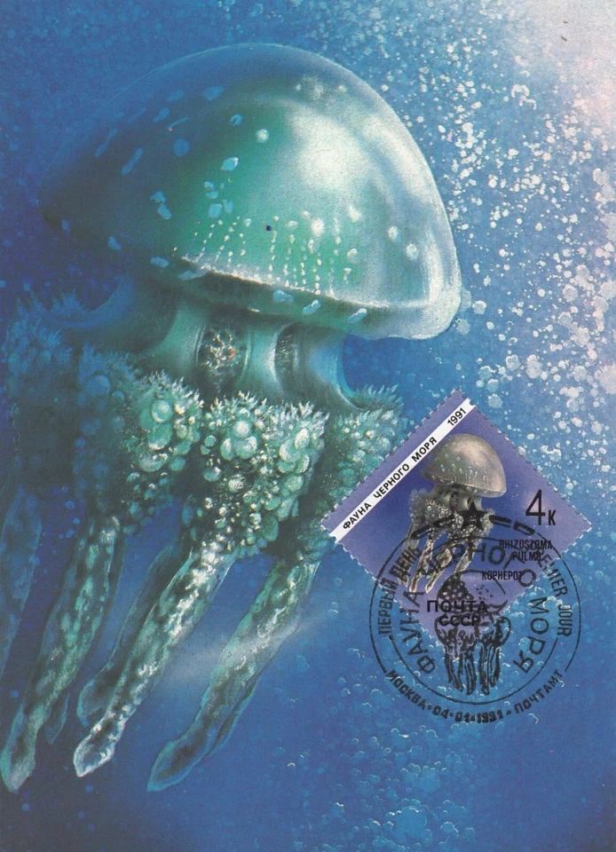 Jellyfish Rhizostoma Pulmo Sea Life Russia FDC Maxi Card 1991 - Image 1 of 1