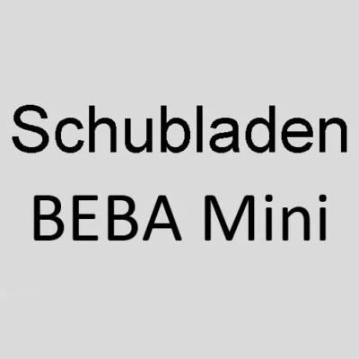 SAFE BEBA MINI Schubladen für 9 - 81 Münzen