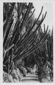 MONACO MONACO LE JARDIN EXOTIQUE - Imagen 1 de 2