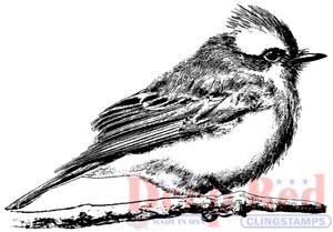 Deep Red Stamps Vermilion Flycatcher Rubber Cling Stamp
