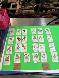 (2) Carte collezionabili anni '50 Bevanda COCA COLA, Mondo della Natura 2 set uccellini e fiori - Foto 1 di 14