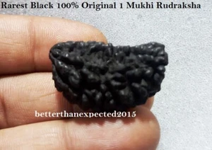 Rarest Black 1 Mukhi ek Rudraksha One Face Rudraksh 30 MM ~Blessed and Energized - Picture 1 of 2
