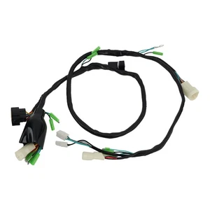 Complete Wire Harness Assembly for Honda Sportrax 400 1999-2004 32100-HN1-000 - Picture 1 of 9