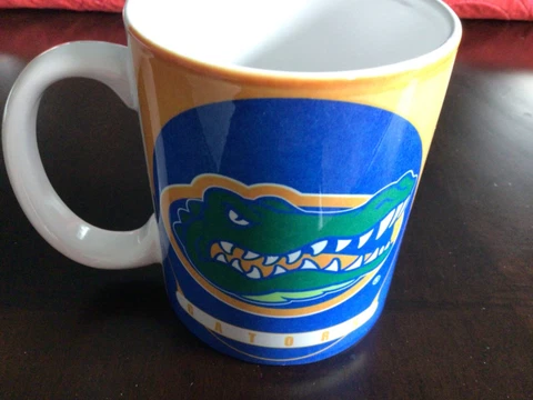 2007 BCS NATIONAL CHAMPIONSHIP FLORIDA GATORS COFFEE MUG Cover