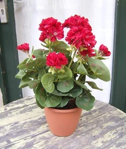 Künstliche Geranien bayrisch rot - 1Stück Top-Qualität im Basistopf Kunstblumen - Bild 1 von 3