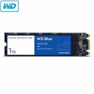 SSD WD Blue SA510 1TB M.2 2280 Solid State Drive WDS100T3B0B Up to 560MB/s - Picture 1 of 7