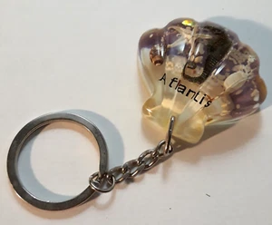 ATLANTIS Keychain Acrylic Clam Shell Shape Key Ring Backpack Bag Hang Tag - Picture 1 of 5