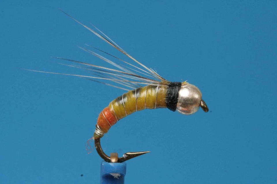 Palaretta gelb - Bild 1 von 1