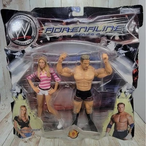 Confezione da 2 action figure Jakks WWE Adrenaline Series 2 STACY KEIBLER & TEST 2003 - Foto 1 di 7