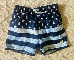 Boys American Flag Swim Trunks - Blue Tie Dye Stars Stripes & Pineapples, Size 8 - Picture 1 of 5